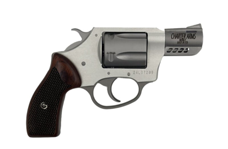 charter arms coyote 380